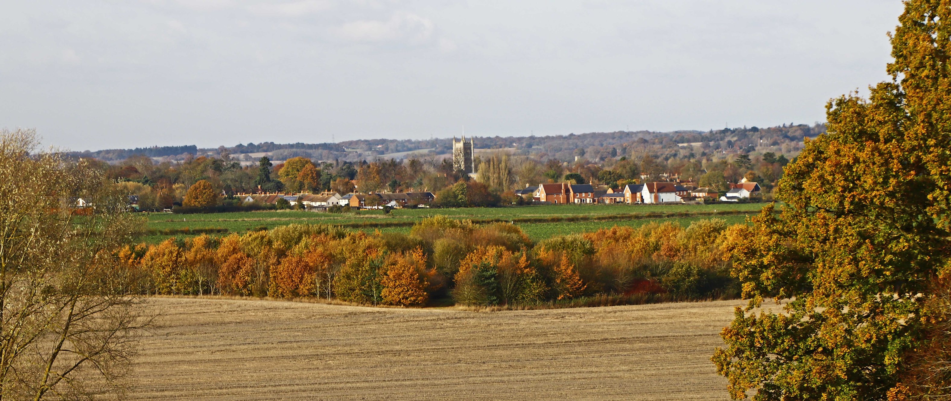 Dedham Walks Overview
